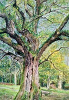 Arbre seul N&deg;1 - 19x27cm