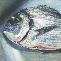 La daurade, 16 x 16 cm, 2019 (collection priv&eacute;e)