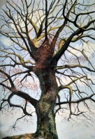 Arbre seul N&deg;3 - 70x100cm