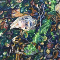 L'hu&icirc;tre sauvage - 16x16cm - 2020 (collection priv&eacute;e)