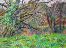 Le 2 f&eacute;vrier - 19x13cm (Collection priv&eacute;e)