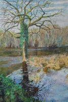 Le Scorff N&deg;12 - 30x45cm