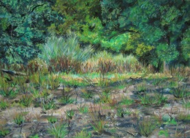 Le 22 août - 21x15cm