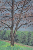 Arbre seul N&deg;5 - 19x13cm