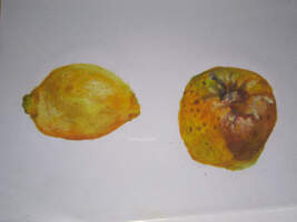 &Eacute;tude de fruits, 2017 (collection priv&eacute;e)