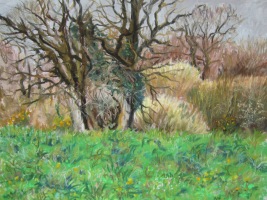 Le 26 mars - 24x18cm