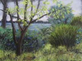 Le jardin de Croks N&deg;1 - 24x18cm
