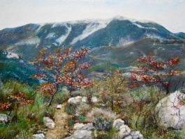 Le mont Ventoux - 32x24cm (Collection priv&eacute;e)