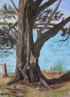 Lious, Arz N&deg;5 - 14x20cm (Collection priv&eacute;e)
