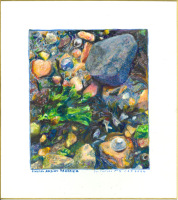Sur l'estran N°3